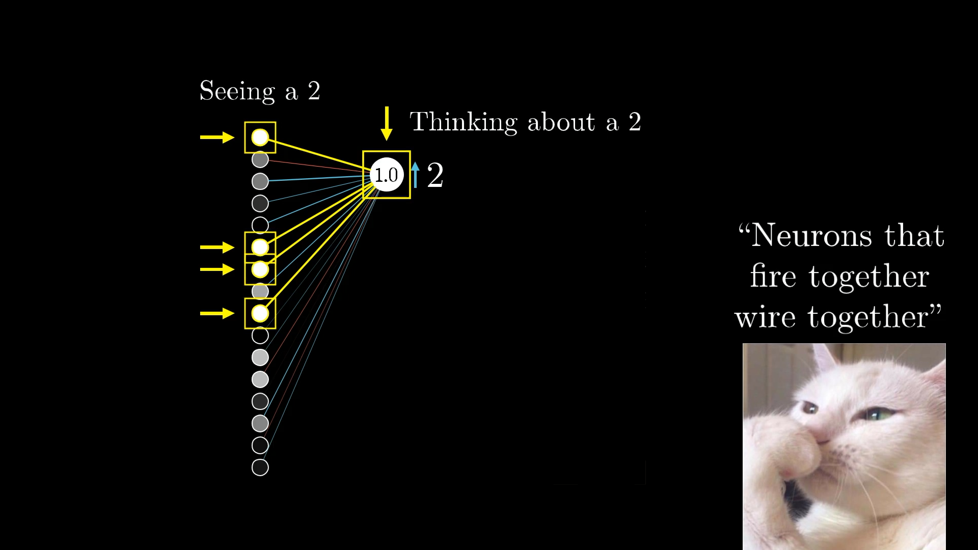 hebbian-theory