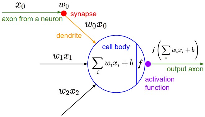 mathematical-neuron-model